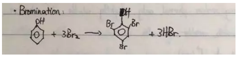 苯酚反应4