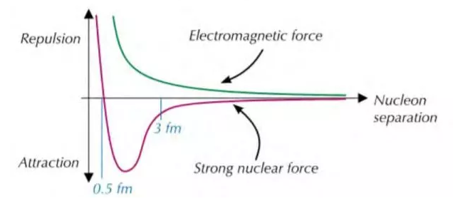 Forces in the nucleus