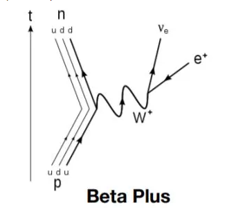 Feynman diagram of Betaplus decay