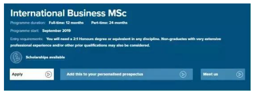 MSc International Business