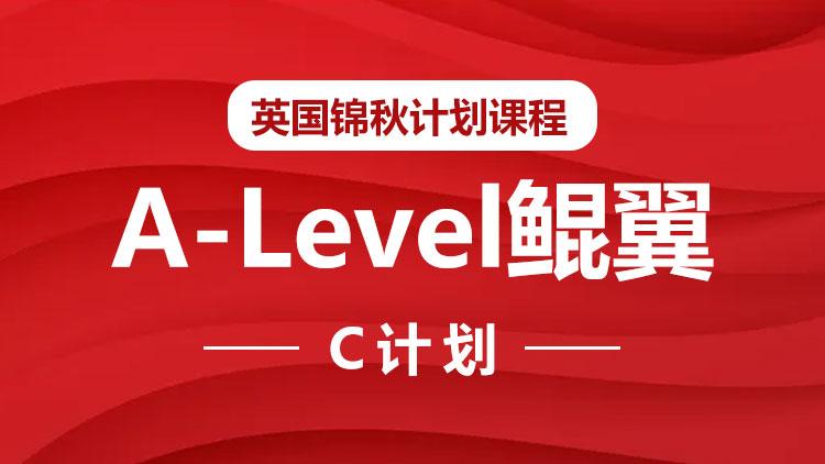 锦秋A-level-鲲翼(C计划)