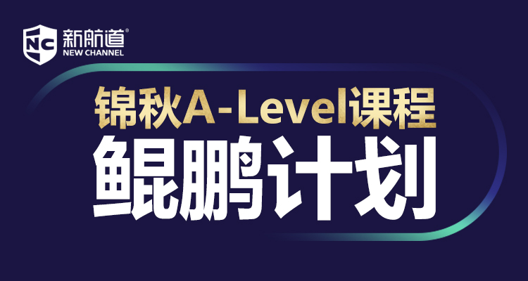 锦秋A-Level-鲲鹏计划