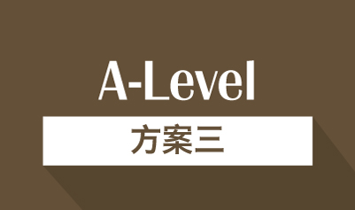 A-Level方案三